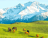 驴妹妹旅行照片