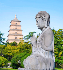 驴妹妹旅行照片