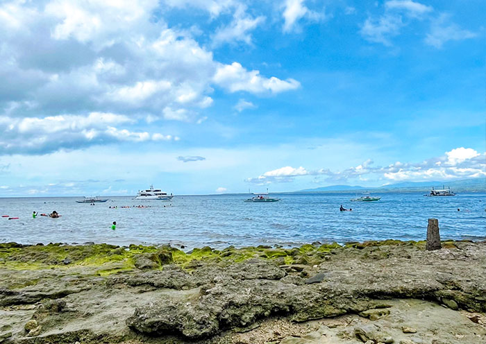 dumaguete-apo-island2