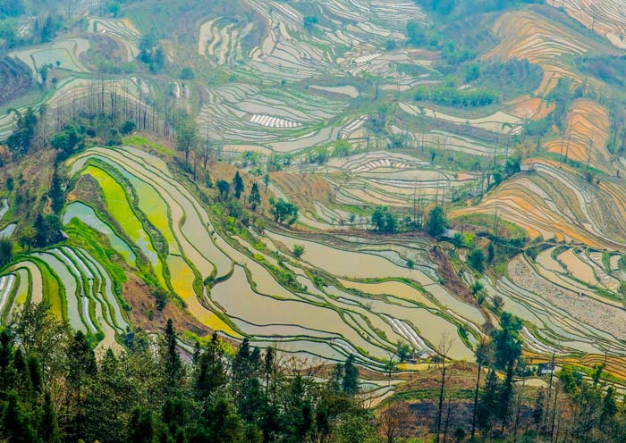 yuanyang-rice-terraces-laohuzui2