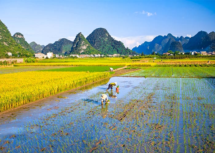 yangshuo-countryside1
