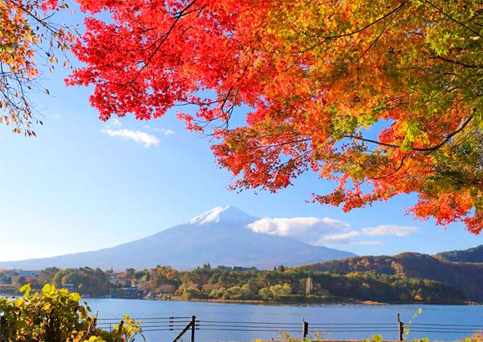 mt-fuji1