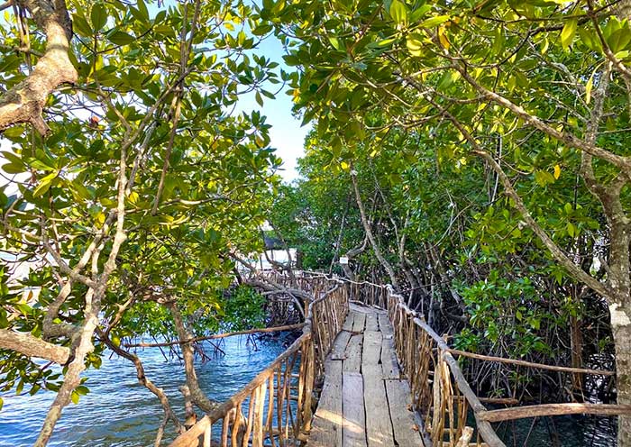 maquinit-hot-spring1