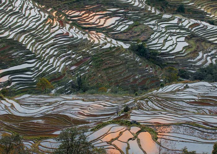 yuanyang-rice-terraces-bada1