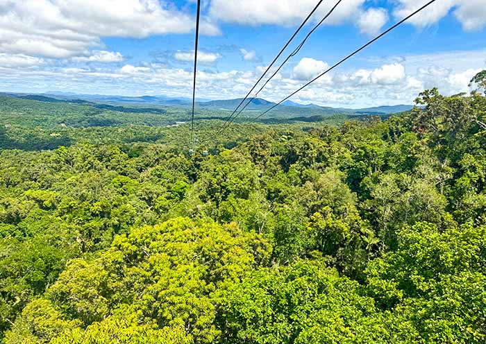 rainforestation-nature-park1