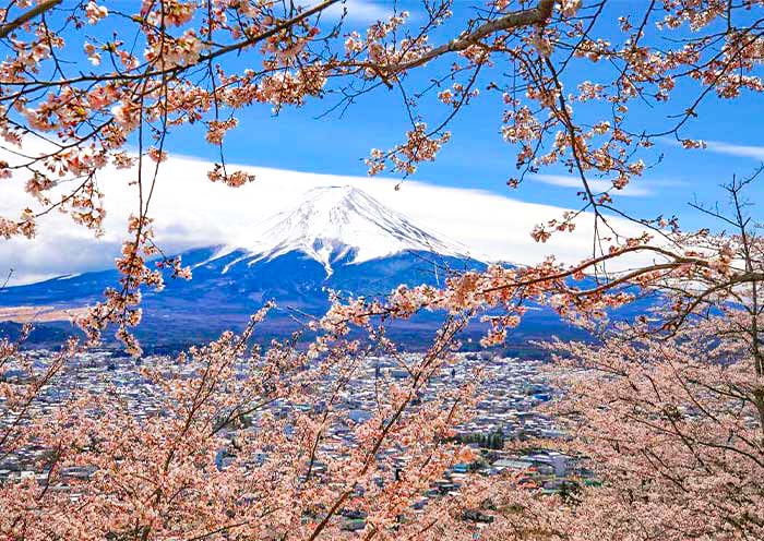 mount-fuji-arakurayama-sengen-park2