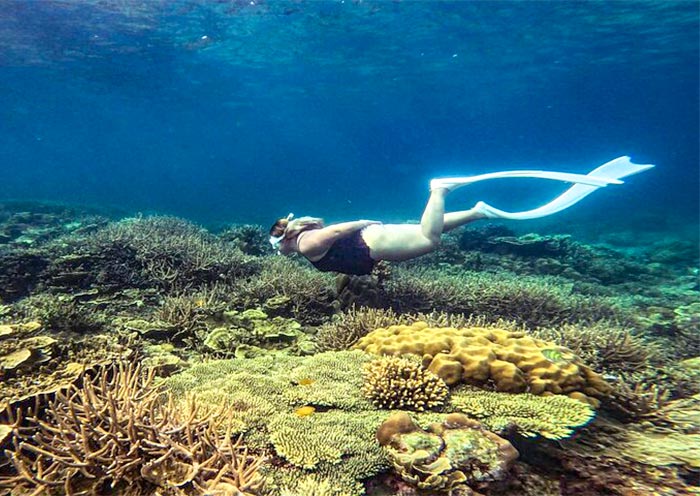 twin-reef-port-barton1