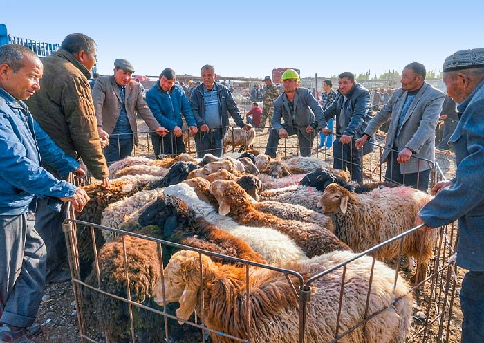lashgar-livestock-market1