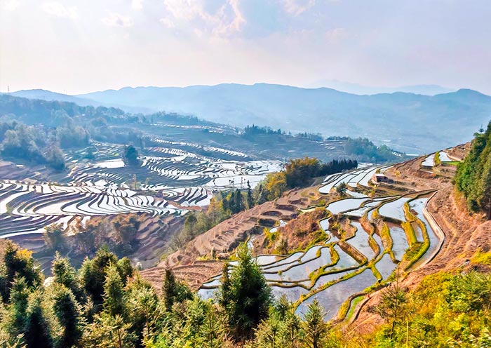 yuanyang-rice-terraces-bada2