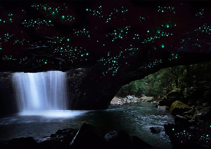 springbrook-national-park1