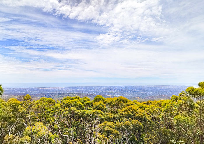 mount-lofty-summit1