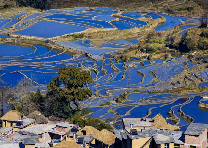 yuanyang-rice-terraces-aichun1
