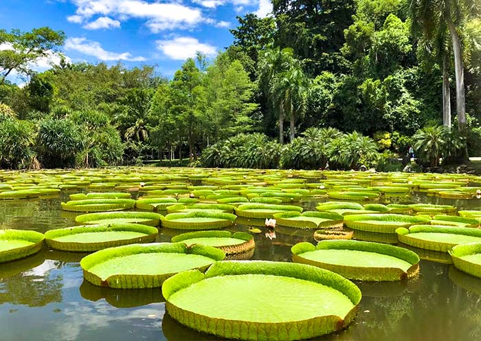 xishuangbanna-tropical-botanical-garden2