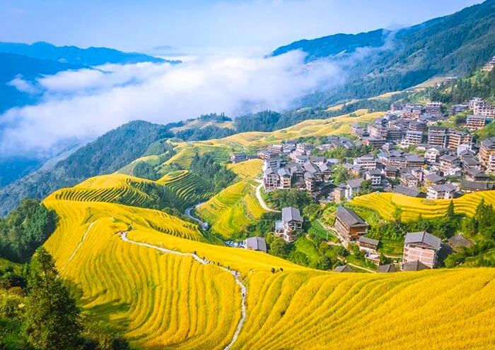 longji-rice-terrace1