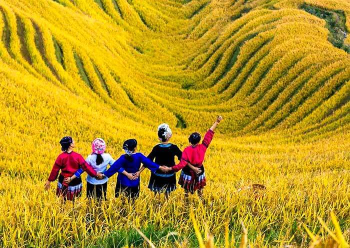 longji-rice-terrace5