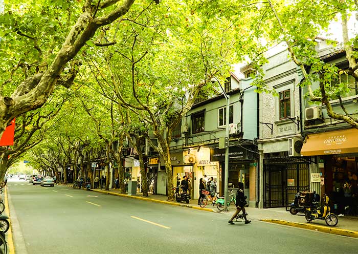 shanghai-biking-madang-road1