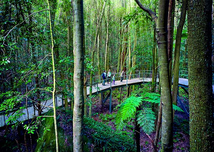 blue-mountains-national-park3