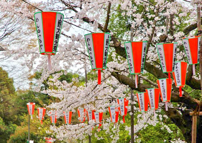 ueno-park-cherry-blossom1