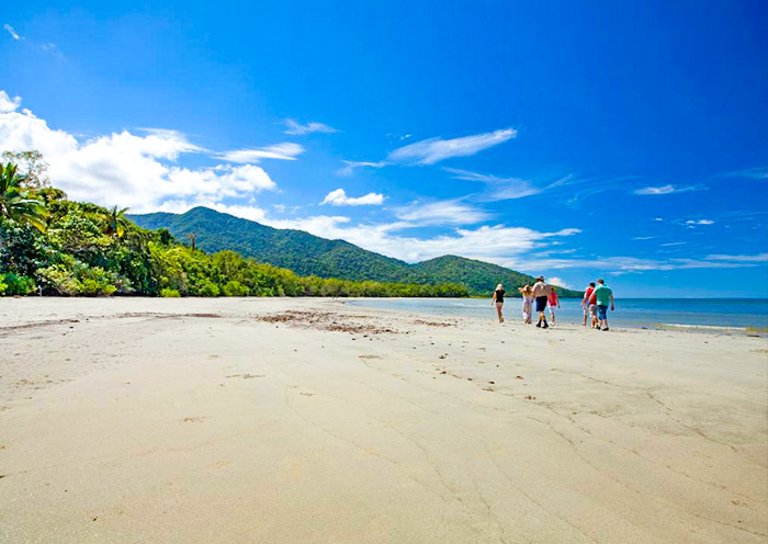 daintree-rainforest3