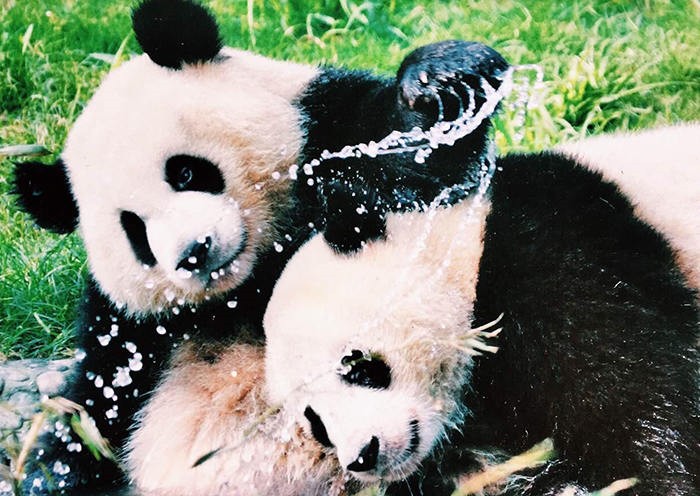 錦繡中華 | 北京+西安+成都+上海10天9晚純玩小團遊