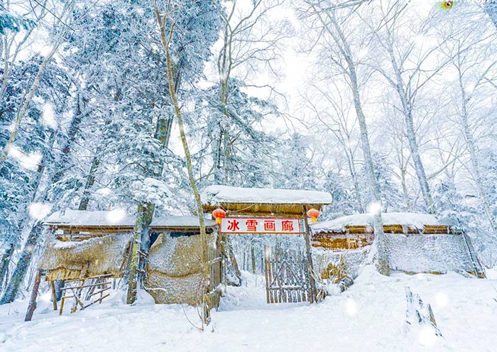 ten-mile-ice-and-snow-galler1