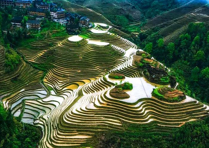 longji-rice-terrace7