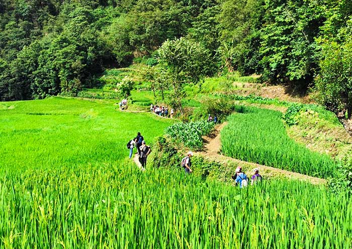 yuanyang-rice-terraces-hiking2