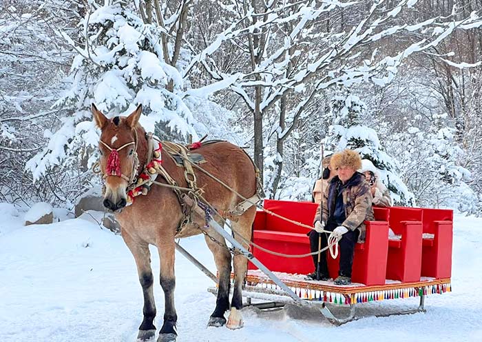 yabuli-horse-drawn-sleigh1