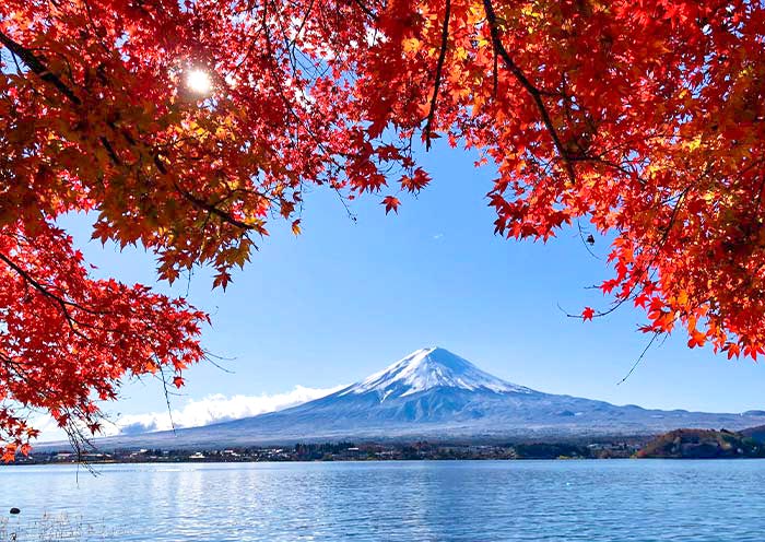 日本全景 | 日本大阪+京都+奈良+廣島+東京+富士山9天8晚深度探索之旅