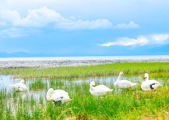 【2025新疆旅遊景點】本地人強推新疆旅遊好玩景點！附遊玩攻略指南