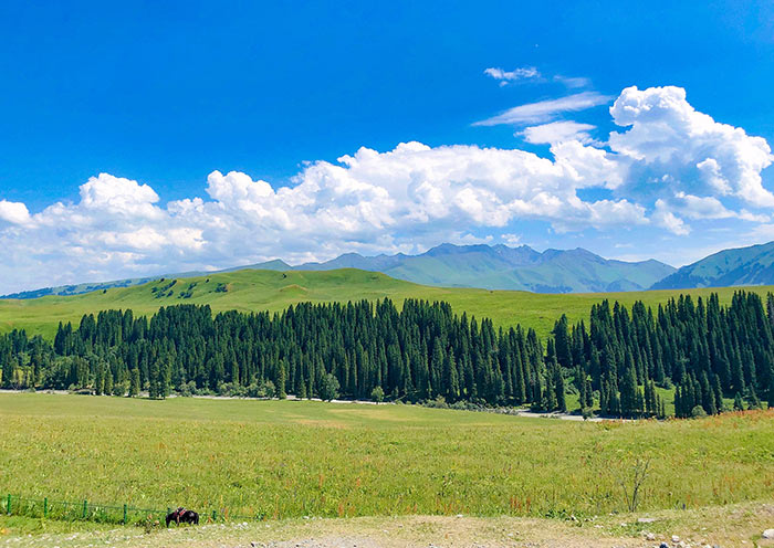 新疆旅遊最佳時間：什麽時候去新疆旅遊最好？